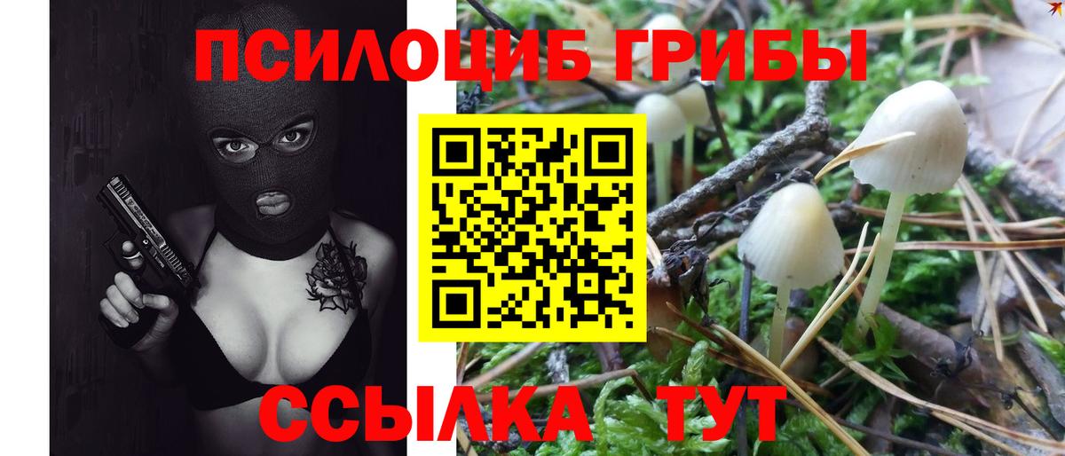 Псилоцибиновые грибы Psilocybine cubensis  Галлюциногенные грибы Psilocybine cubensis  Вход с VPN  Дзержинский 